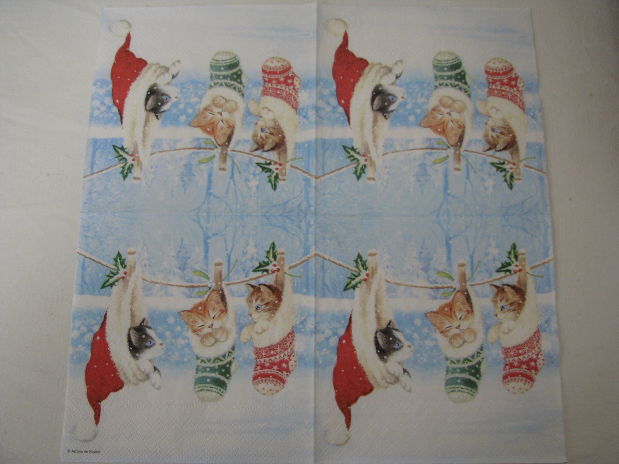 Koťátka v punčoškách