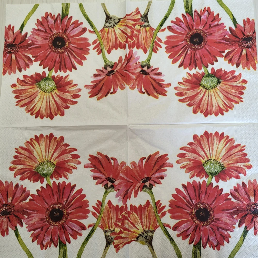 Gerbera - celé balení