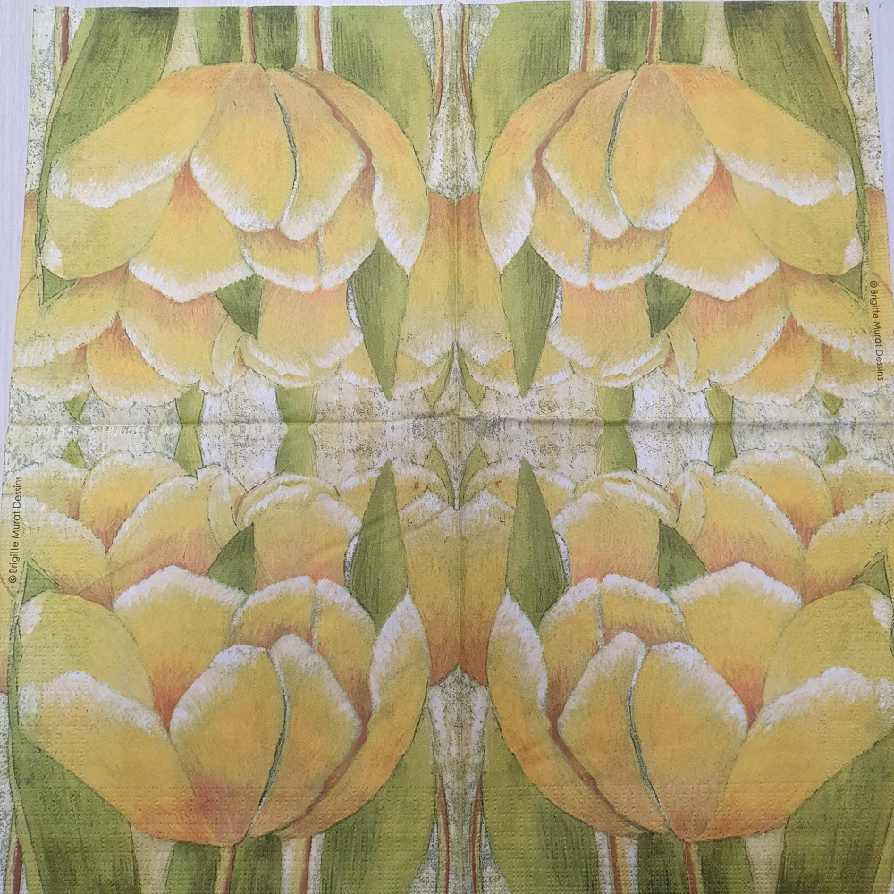 Tulipán