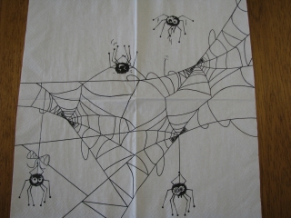 Pavouček v pavučině