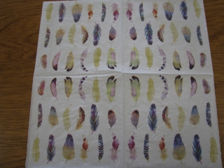 Peříčka na bílém 