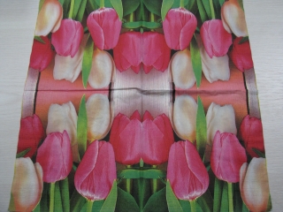 Bílé a růžové tulipány