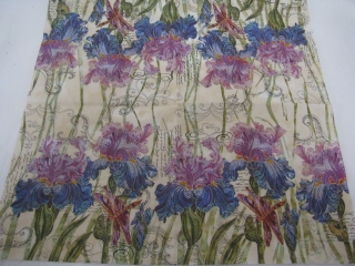 Modrofialoé krokusy