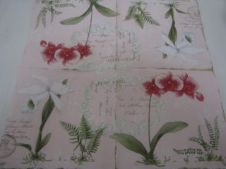 Orchidej na růžovém 