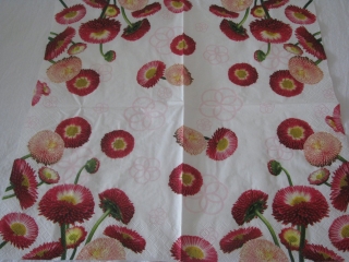 Růžové sedmikrásky