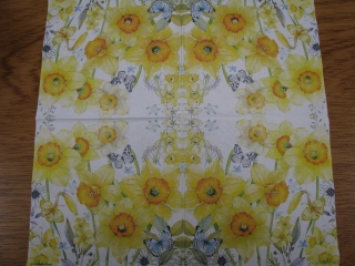 Narcisy