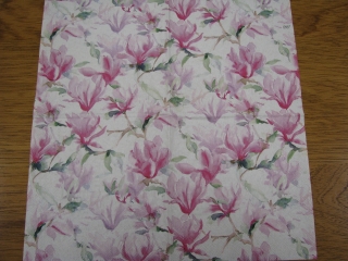 Magnolie na bílém 