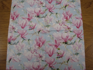 Magnolie na modrém 