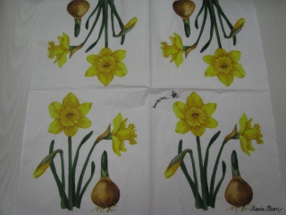 Narcis