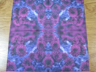 Fuchsie