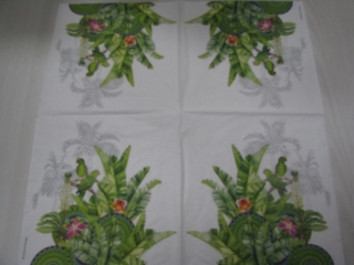 Tropicale