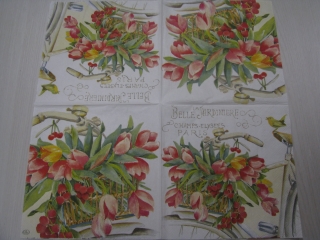 Kolo a tulipány