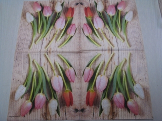 Tulipány