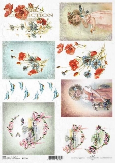 Holčička a vlčí máky - 1336