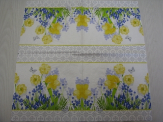 Narcisky