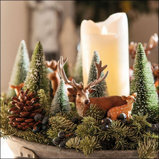 Svícen - celé balení