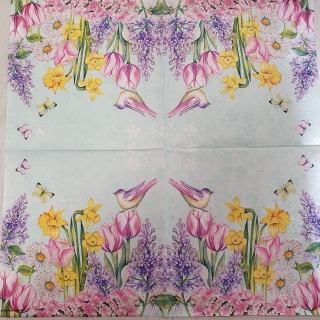 Narcisky a tulipány