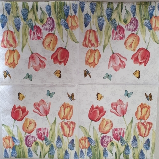 Tulipány