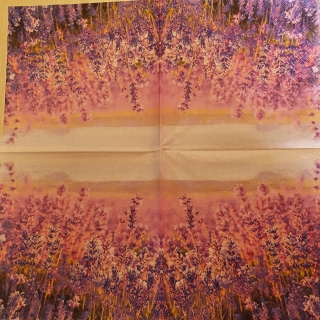 Levandule - celé balení