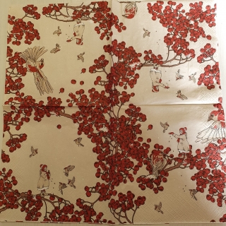 Holčička a ptáčci - celé balení