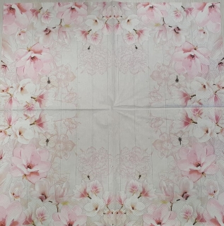 Magnolie