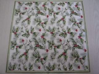 Jmelí - celé balení