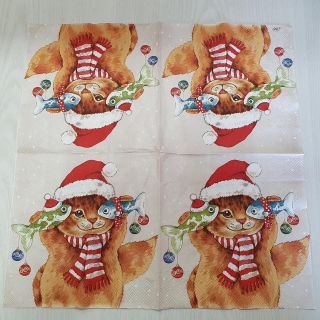 Vánoční kočka - celé balení