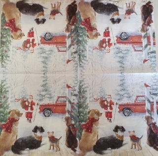 Santa - celé balení