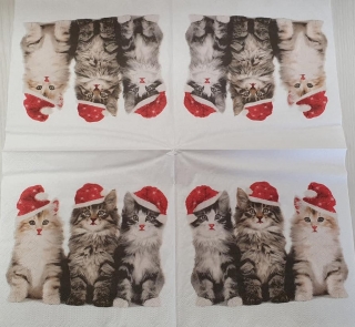 Koťata s čepicí - balík