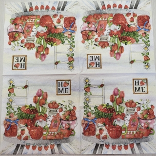 Home - celé balení 20 kusů