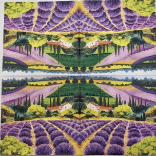 Levandulové pole - balík, 20 kusů