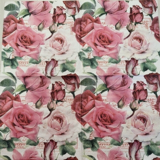 Růže - celé balení, 20 kusů