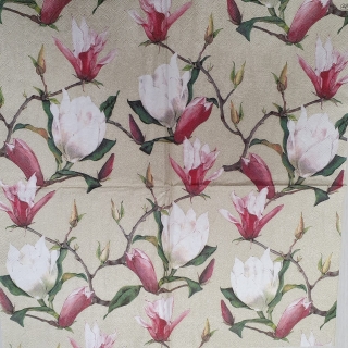 Magnolie