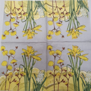 Narcisky