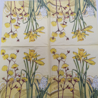 Narcisky