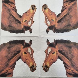 Kůň