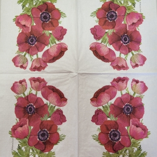 Vlčí máky - celé balení