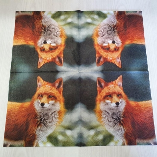 Liška - celé balení