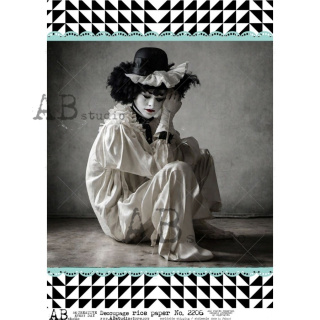 Cirkus - 2206