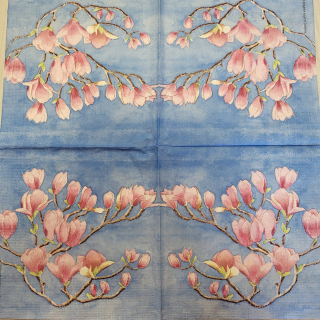 Magnolie - celé balení