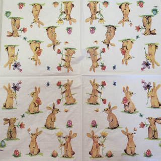 Zajíci - celé balení