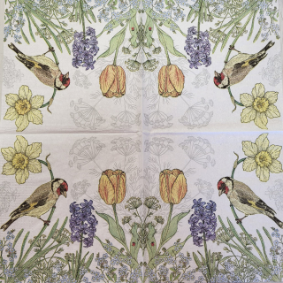 Ptáček - celé balení