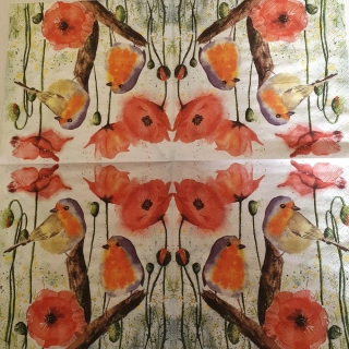 Ptáček a vlčí máky - celé balení