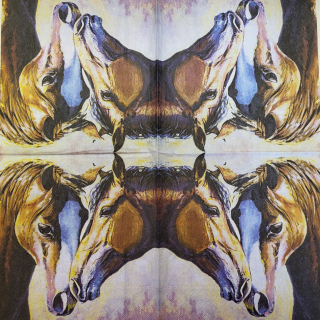 Koně - celé balení