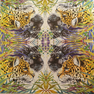 Levhart - celé balení