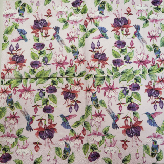 Fuchsie
