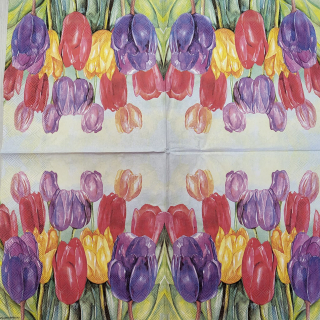 Tulipány