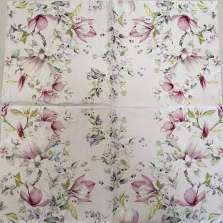 Magnolie
