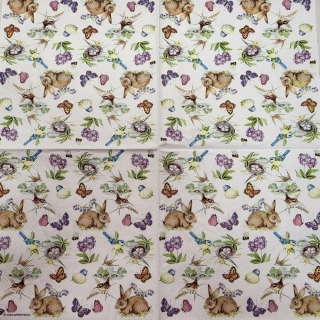 Zajíček - celé balení