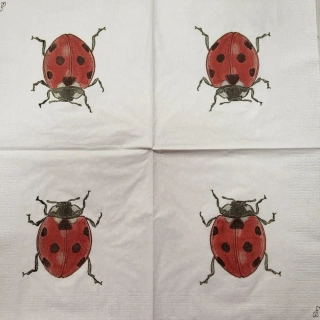 Beruška - celé balení